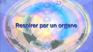 Respirer par un organewmv [upl. by Lehrer688]