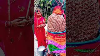 Subah ka Arth Chhath Parv song  Bhojpuri love music🙏🙏🌹 [upl. by Tse]