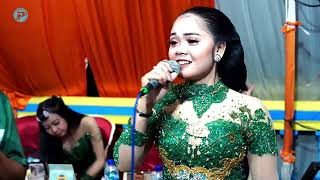 Kawin Kontrak  AREVA Music musikcover pandoyogroup arevamusik [upl. by Ebbie]