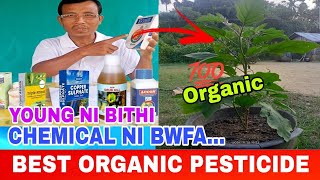 Best Organic Pesticide  Yung Ni Bithi  Langma Tv [upl. by Waterer303]