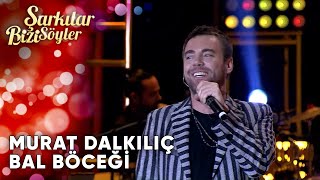 Bal Böceği  Murat Dalkılıç  Şarkılar Bizi Söyler  Performans [upl. by Peltier773]