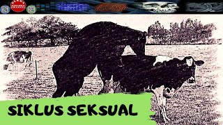 SIKLUS SEKSUAL  SIKLUS MENSTRUASI DAN SIKLUS ESTRUS  DIRGA BIOLOGY CHANNEL [upl. by Hurlow]