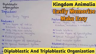 Diploblastic And Triploblastic Organization  Kingdom Animalia  Class 11 [upl. by Emmi]