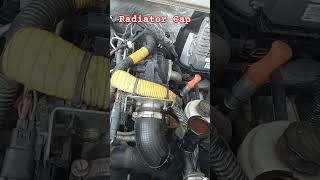 Check out the Radiator Cap And Cooling system maheshji4640 bolero driver driving shorts [upl. by Ardnasela937]