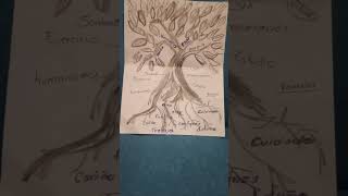 ARBOL DE LA VIDA ACTIVIDAD SOCIOEMOCIONAL [upl. by Yticilef]