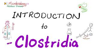 Introduction to Clostridia Clostridium tetani botulinum perfringens difficile  Microbiology 🧫 [upl. by Ttemme951]