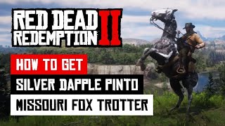 Fed up of trying to get the Missouri Fox Trotter  This EASY METHOD actually WORKS  RDR2 [upl. by Lauber958]