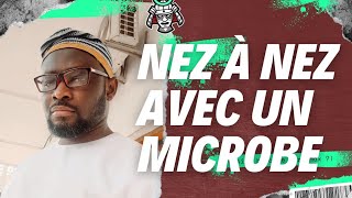 NEZ À NEZ AVEC UN MICROBE agresseurs P1 [upl. by Everara]