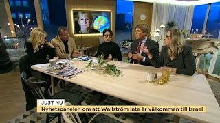 Storbråk om Margot Wallström i nyhetspanelen  Nyhetsmorgon TV4 [upl. by Burnett]