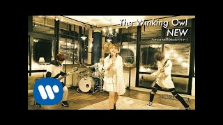 The Winking Owl  NEW Official Music Video [upl. by Ajax]