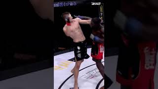 David Jacobson vs Ibrahim Mané Action Moments mma shorts [upl. by Turner]