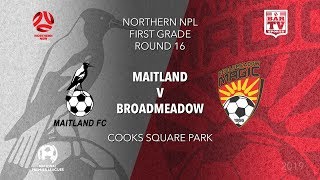 2019 NPL Northern NSW 1st Grade  Round 16  Maitland Magpies v Broadmeadow Magic [upl. by Ssac856]