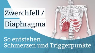 Zwerchfell  Diaphragma Schmerzen Triggerpunkte und deren Aktivierung [upl. by Cupo364]