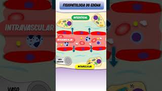 Entenda a fisiopatologia do edema shorts veterinaria patología edema fisiopatologia [upl. by Carolynne]