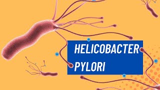 ¿Qué es el Helicobacter pylori [upl. by Platon44]