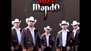 Grupo Voz De Mando  Corridos Alterados MixHD [upl. by Nnylarak]