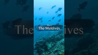 Maldives Travel Vlog Part 4 Learning to scuba dive marine fife cyclone weather amp Maldivian night [upl. by Joe768]