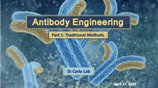 For undergrads Learn about antibody development and how they will revolutionize the drug industry [upl. by Hgielram]