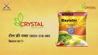 Bavistin  most trusted fungicide of India  Hindi DH [upl. by Llednar]