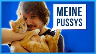 Geschichten meiner Katzen die euch schnurren lassen [upl. by Eninahpets]