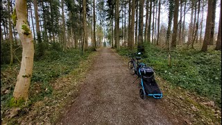 Burley Travoy and Fischer Ebike Going Home Through a Forest Any Problems [upl. by Annovahs]