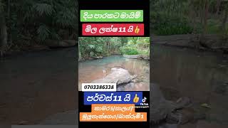 සංචාරක ඉඩමක් විකිණීමට home director house ganemulla villa realestate houseforsale property [upl. by Aitenev653]