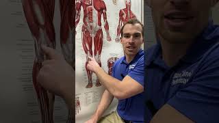 Osgood SchlattersJumpers Knee Treatment at Skare Spine and Performance [upl. by Ahsyle]