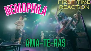 NEMOPHILA  AMATERAS  FIRST TIME REACTION [upl. by Asylla]