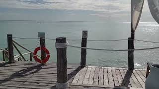 le jetty bar du reef amp beach resort de Zanzibar zanzibar vacances voyagedereve afrique reef [upl. by Ardnaz]