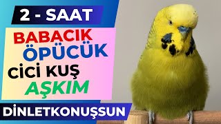 2 Saat Babacık Öpücük Cici Kuş Aşkım Çok net dinletkonussun [upl. by Hallvard]