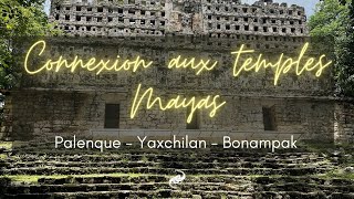 Connexion aux temples Mayas [upl. by Yulma]