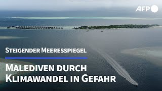 Steigender Meeresspiegel Malediven durch Klimawandel in Gefahr  AFP [upl. by Gass]