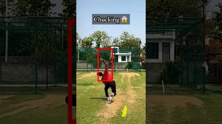 Chucking Arm Correction ✅  Fast Bowling Transformation shorts fastbowling shortsvideo cricket [upl. by Bellina]