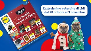 First reaction al nuovo volantino Lidl dal 2810 al 311 top  Lidl Italia [upl. by Schlessinger]