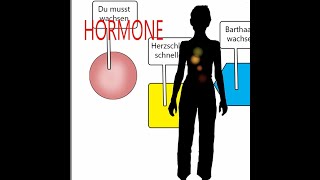 GuckmichTV  Was sind Hormone und was tun sie [upl. by Jeanelle]