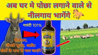 अब घर में पोछा लगाने वाले से nilgai भागेंगे  nilgai bhagane ka tarika  किसान भाई DesiJugaadTech [upl. by Annahgiel137]