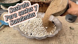 Cómo preparar un buen sustrato para cactus y suculentas [upl. by Burnsed810]