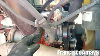 Freightliner cascadia AC compressor clutch no working positive and negative power check details [upl. by Ainod]