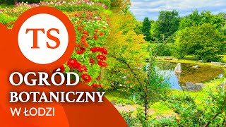 Ogród botaniczny w Łodzi  Relaksacyjny spacer wśród zieleni z muzyką  film 4K [upl. by Esalb]