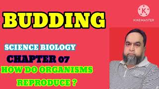 BUDDING BIOLOGY SCIENCE CHAPTER 07 CLASS 10 HOW DO ORGANISMS REPRODUCE [upl. by Sylram]