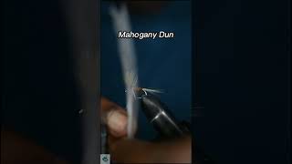 How to tie the Mahogany Dun  Fly tying tutorial flytying flyfishing flytyingtutorial fishing [upl. by Arabrab958]