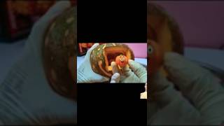 Sweet Pumpkin Has 4 Baby 🍼 fruit surgery shorts fruitsurgery Fruitfix54 [upl. by Oirottiv]