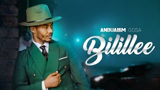 Bilillee  Andualem Gosa  New Oromo Music Video 2024 [upl. by Ettecul]