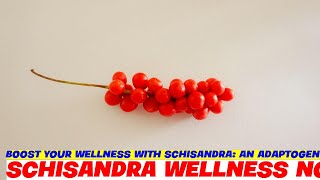 Boost Your Wellness with Schisandra An Adaptogenic Powerhouse [upl. by Notaes]