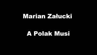 Marian Załucki  A Polak Musi [upl. by Ranice]