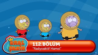 KralSakirResmi 112Bölüm  Radyoaktif Hamsi [upl. by Sesiom]