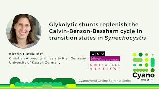 Kirstin Gutekunst  Glycolytic shunts replenish the Calvin cycle as anaplerotic reactions [upl. by Bettzel]