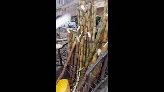 how we peel sugarcane [upl. by Nairadas329]