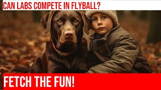 Flyball Training for Labrador Retrievers Ready Set Go [upl. by Nicolle]