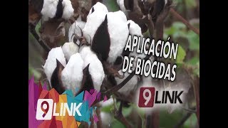 C9  Aplicación de Biocidas [upl. by Arriec]